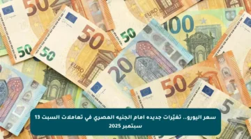 سعر اليورو.. تغيّرات جديدة أمام الجنيه المصري في تعاملات السبت 13 سبتمبر 2025